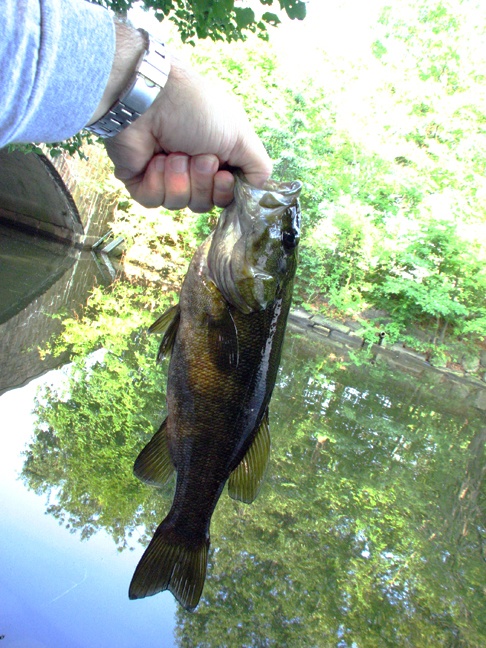 Smallmouth