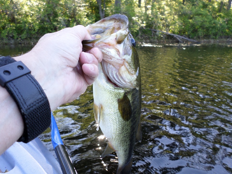 Paradise Pond, Princeton, MA