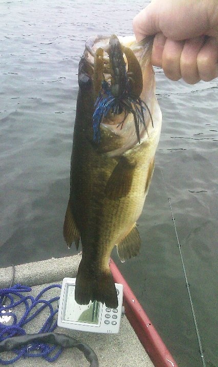 bass