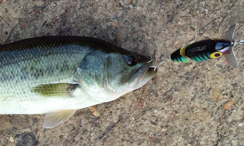 nice bass #2 lake george in erial wednesday 