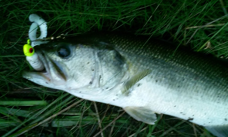 bass #1 lake george in erial